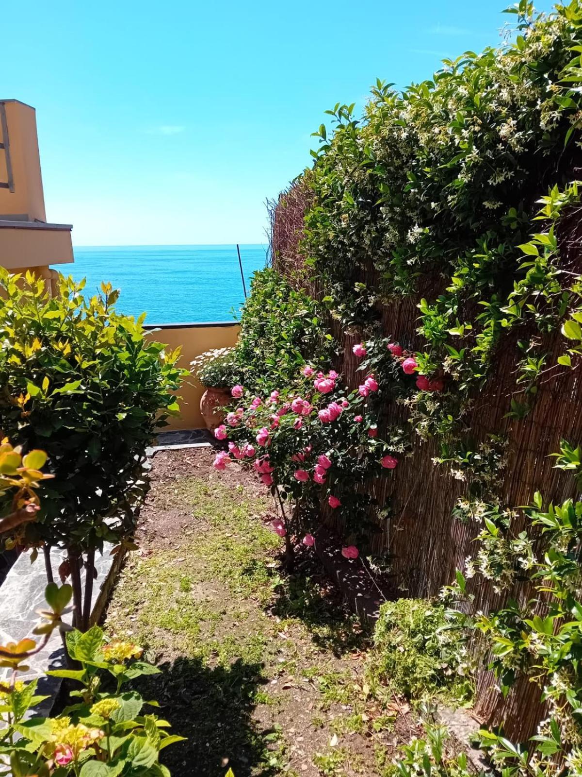 Raggio Di Luna Manarola Dış mekan fotoğraf